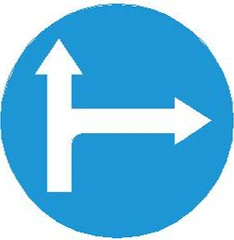 Biển số R.301f "Hướng đi phải theo"