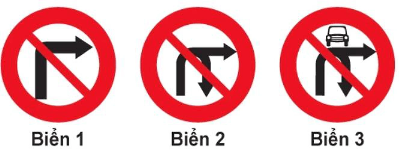 Hình câu 317
