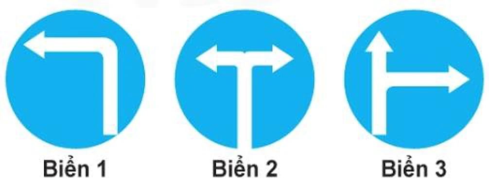 Hình câu 442