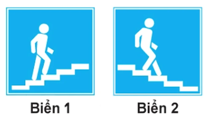 Hình câu 450